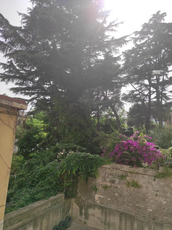 Costa Del Sole Bed & Breakfast Salerno Exterior photo